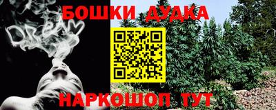 крисы Кимры