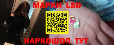 крисы Кимры
