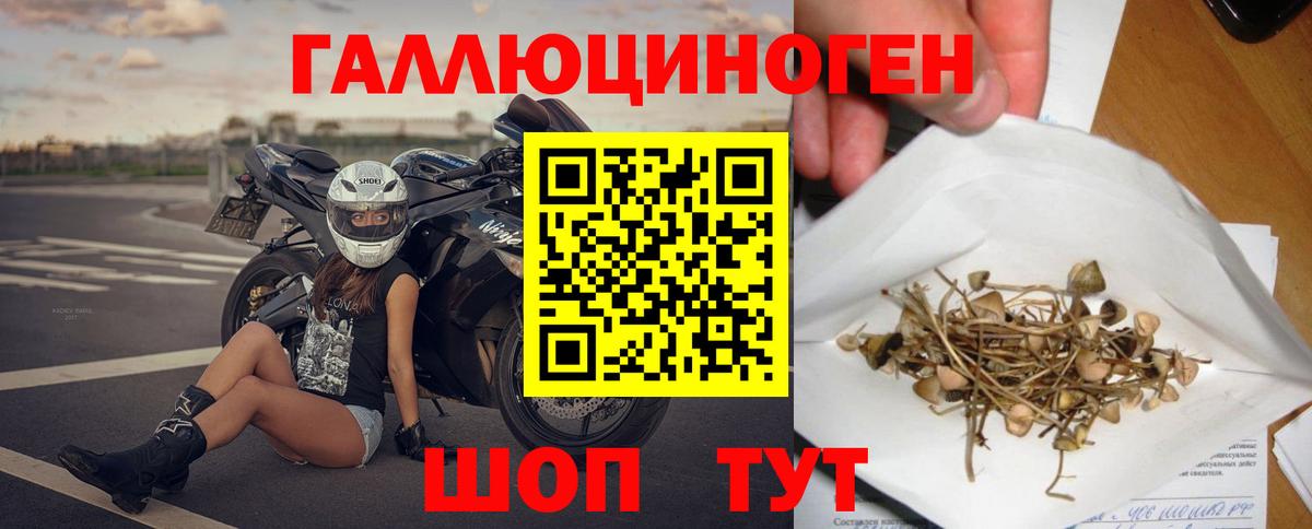 Псилоцибиновые грибы Magic Shrooms Касимов